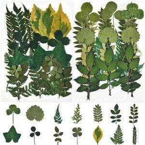 42 PCS Dried Leaves Pressed Leaves Dried Pressed Flowers for Craftsl Dried Leave
